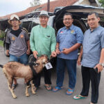 MENERIMA HEWAN KURBAN